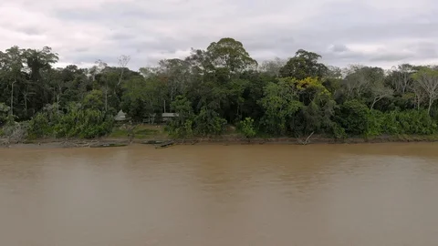 Closeup aerial cinematic view Amazon rain forest jungle river. Puerto Maldonado Stock Footage 93789409