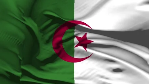 Closeup Algeria Flag Wave Loop waving in wind  Realistic Algeria Flag backgr Stock Footage 319813419