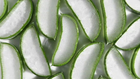 Closeup Aloe Vera sliced slice rotation. Natural medical plant. Organic Stock Footage 142999563