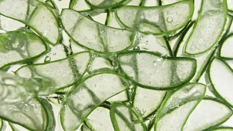 Closeup Aloe Vera sliced slice. Motion of the juice aloe vera. Natural medical Stock Footage 143184580