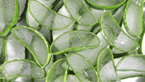 Closeup Aloe Vera sliced slice rotation. Natural medical plant. Organic Stock Footage 143186154