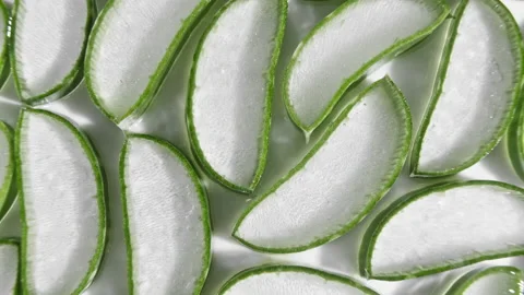 Closeup Aloe Vera sliced slice rotation. Natural medical plant. Organic Stock Footage 143532224