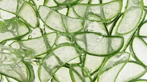 Closeup Aloe Vera sliced slice. Motion of the juice aloe vera. Natural medical Stock Footage 143584779