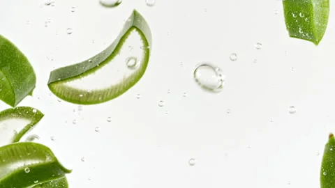 Closeup Aloe Vera sliced slice rotation. Natural medical plant. Organic Stock Footage 220936156