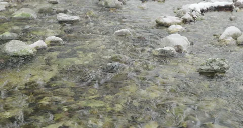Closeup on Alpine stream in a cloudy winter day Stock Footage 231732870