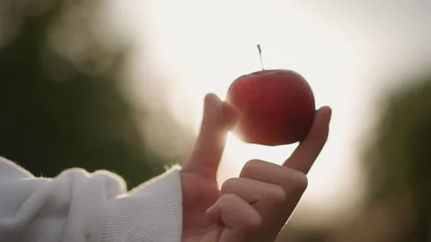 Closeup Apple Sip. Hand grasping bright red fruit. Sunlit hand clutching ripe Stock Footage 346385978