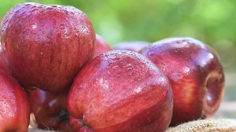 Closeup apple on table camera smooth movement Stock Footage 108774703