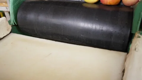 Closeup of apples on conveyor belt getting pushed on sorting line B Stock Footage 124329161