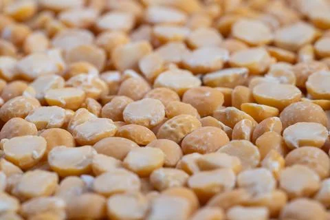 Closeup assorted split pea kernels, size variation and texture differences highl Stock Photos
