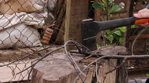 Closeup of axe cutting dry branches laid on aged chopping block in countryside Stock Footage 309302487