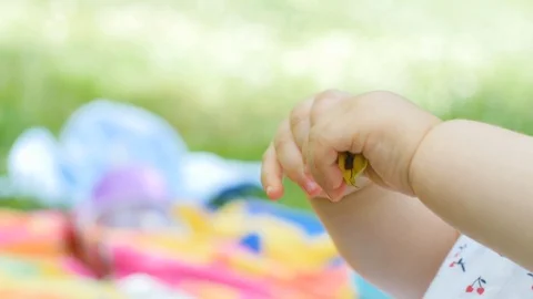 Closeup of baby's hands playing with and examining a leaf Stock Footage 96173653