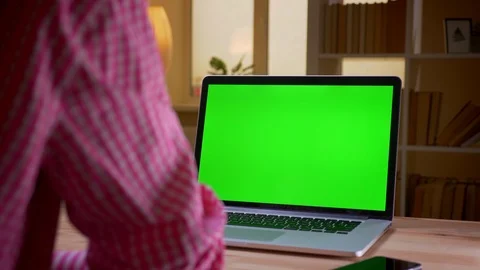 Closeup back view shoot of indian young businessman using the laptop with green Stock Footage 108548589