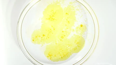 Closeup of with Bacteria, Part of Microbiome and Causative Agents of Different Stock Footage 275959982