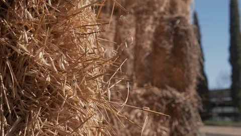 Closeup of a bale of hay in a haystack of a dairy Stock Footage 127721051
