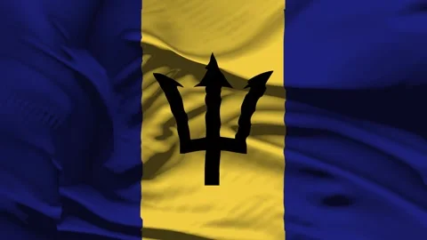 Closeup Barbados Flag Wave Loop waving in wind Realistic Barbados Flag backg Video stock 320035478