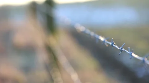 Closeup of barbed wire with defocused field in the background Stock Footage 58651101