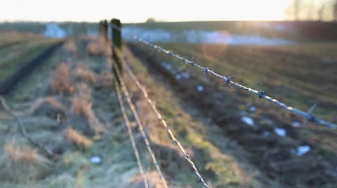 Closeup of barbed wire with Stock Footage 58651073