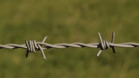 Closeup barbed wire 動画素材 70890715