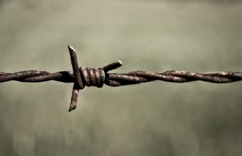 Closeup on barbed wire Stock Photos