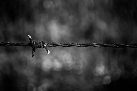 Closeup on barbed wire Stock Photos
