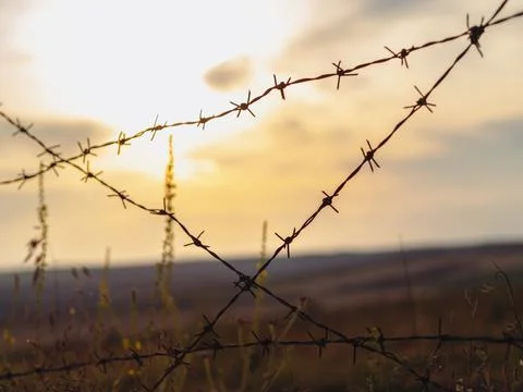 Closeup barbed wire on a rustic background. Jewish genocide concept Stock Photos