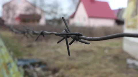 Closeup barbwire with gray autumn yard background Stock Footage 124557853