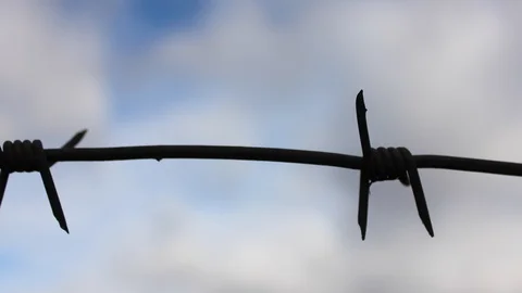 Closeup barbwire timelapse during windy day Stock Footage 124355398