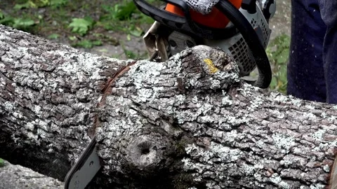 Closeup Bark Chips and Dust Fly from Under the Chain's Teeth electric chainsaws 库存影片 336569940