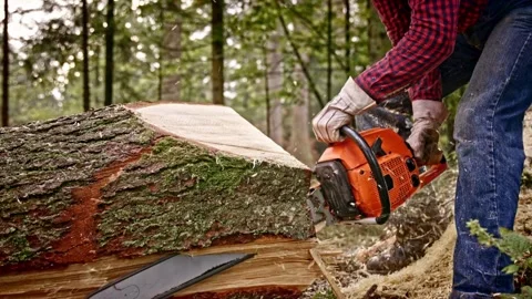 Closeup Bark Chips and Dust Fly from Under the Chain's Teeth electric chainsaws 스톡 동영상 336570343