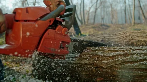 Closeup Bark Chips and Dust Fly from Under the Chain's Teeth electric chainsaws 스톡 동영상 336570402