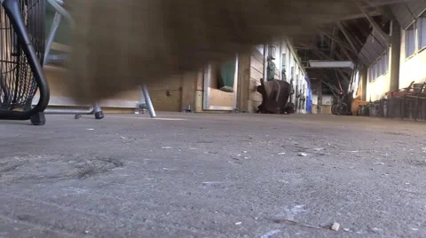 Closeup of Barn Sweeping Stock Footage 50140753