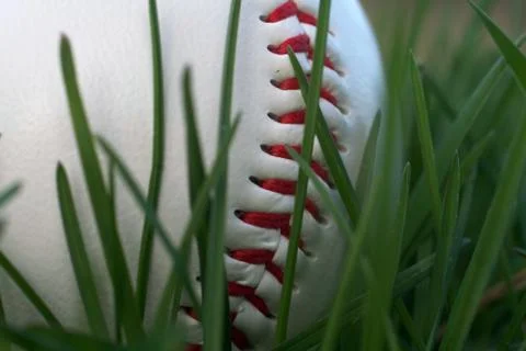 Closeup of baseball in grass Stock Photos