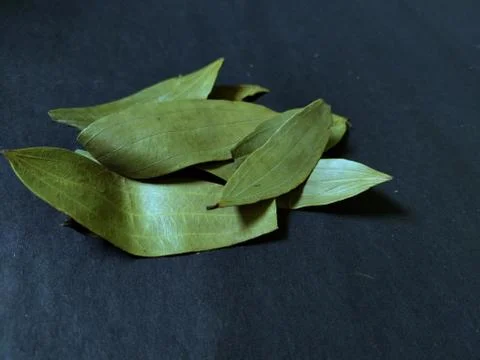 Closeup of bayleaf, black background Stock Photos