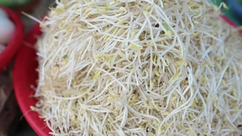 Closeup Bean Sprouts Red Basin Vietnam Street Market Produce Stall Showcasing Видео 332686739