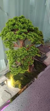 Closeup of beautiful decoration Stock Photos