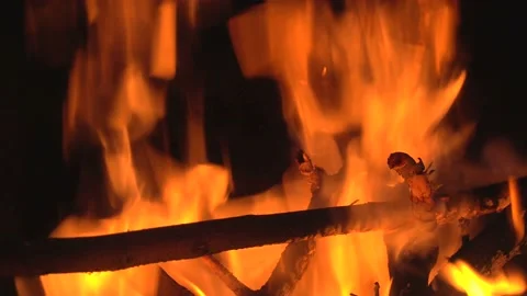 Closeup of beautiful fire flames burning wooden branches. Concept of heat, natur Stock Footage 233023077