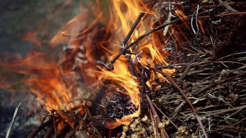 Closeup of beautiful fire slow motion Stock Footage 74713720