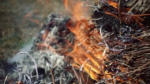 Closeup of beautiful fire slow motion Video stock 74713766