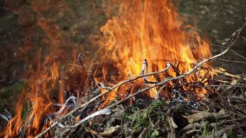 Closeup of beautiful fire slow motion Stock Footage 74713770