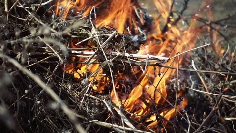 Closeup of beautiful fire slow motion Stock Footage 74713815