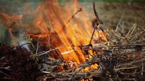 Closeup of beautiful fire slow motion Stock Footage 74713829