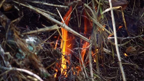 Closeup of beautiful fire slow motion Stock Footage 74713887