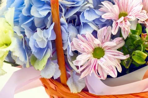 Closeup of beautiful floral composition with  hydrangea and chrysanthemums in Stock Photos