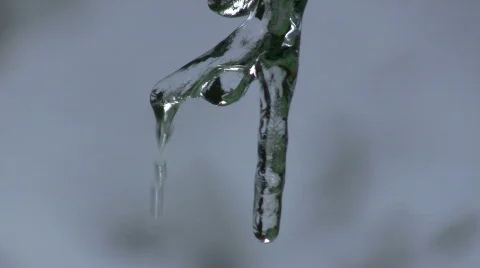 Closeup of beautiful icicle Stock Footage 306517