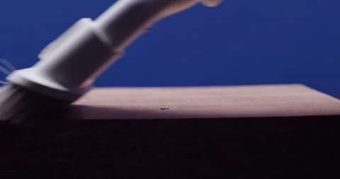 CloseUp of a Beautiful Wooden Surface Featuring Dust Set Against a Blue Stock Footage 297952400