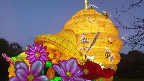 A closeup of a beehive Chinese lantern. Stock Footage 231236483