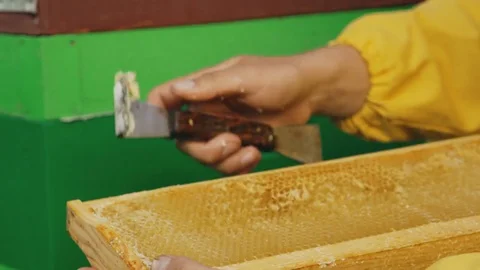 Closeup of beekeeper man clean wooden honey frame working in the apiary on Stock Footage