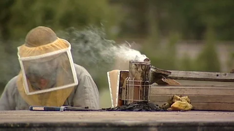 Closeup of Beekeeper Reloading Smoker Stock Footage 93519944