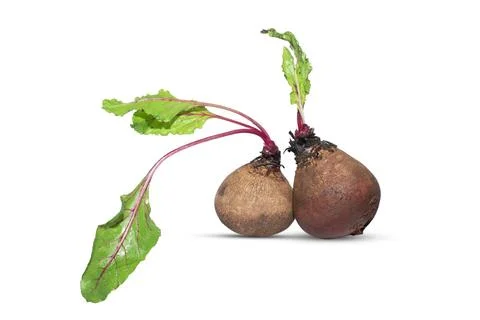 Closeup beetroot (beet root) and cut in half sliced isolated on white backg.. Stock Photos