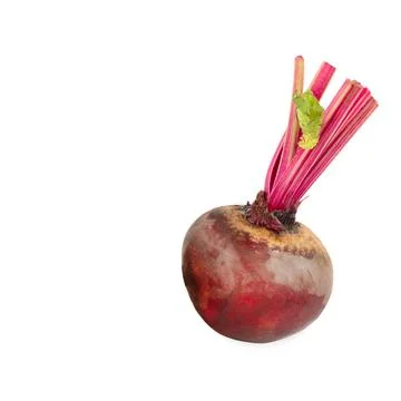 Closeup beetroot (beet root) isolated on white. There is free space for text. 스톡 사진